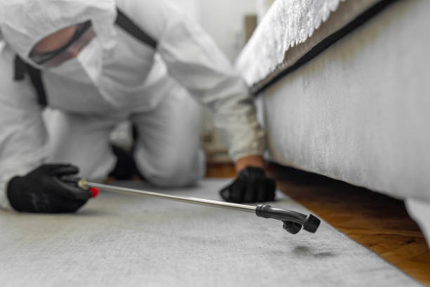 Professional Pest Control technician working in Odem, TX
